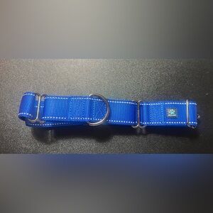 Martingale Reflective All Nylon XL Blue Dog Collar